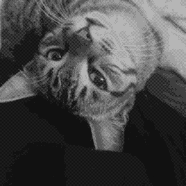 Khopchand, last seen on 1st Feb 2025 khopchand.png